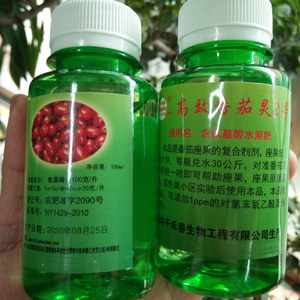 001人付款淘宝大长萼 长萼灵西红柿萼片大萼片绿直点花药喷花药伴侣绿