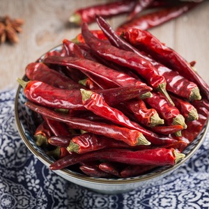 重庆朝天椒石柱红5号火锅辣椒500g 四川干海椒可卤菜炒料香辣经煮