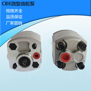 齿轮泵小型液压动力单元配件微型齿轮泵CBK-F2.1 1.6液压齿轮油泵