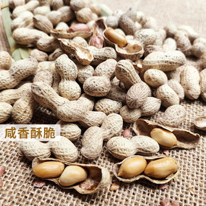 车田花生蛇头咀烧酒干客家特产咸香酥带壳沙炒喝酒