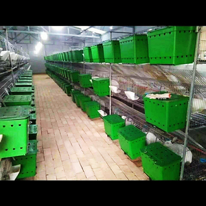 兔子产箱产仔箱内置产仔盒子保暖母兔子下崽繁殖箱一体式加大加深