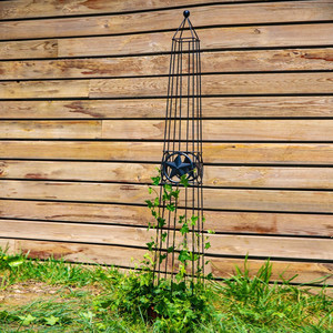 五角星爬藤架铁艺金属黑色植物攀爬架蔷薇铁线莲花支架固定阳台花