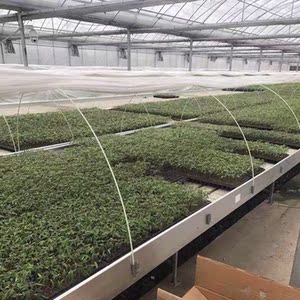 大棚骨架内棚套棚遮阳拱杆农用育苗小拱棚实心葡萄多肉避雨棚支架