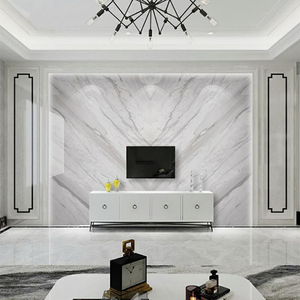 pvc板材装饰电视背景墙uv板