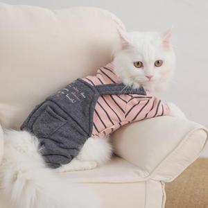 猫咪衣服英短布偶猫猫蓝猫防掉毛春秋薄款可爱搞笑宠物冬季秋冬装