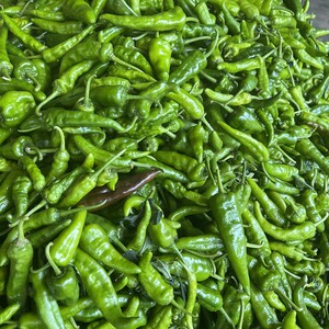 宜昌高山土辣椒湖北土广椒本地青辣椒香辣皮薄农家自种自种56人付款