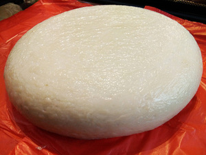 玉田粉坨红薯粉坨水晶粉坨纯粉坨非焖子