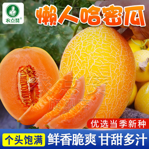 玉皇2号哈密瓜种子新疆网纹甜瓜种香瓜肉桔红黄皮春夏季水果种籽
