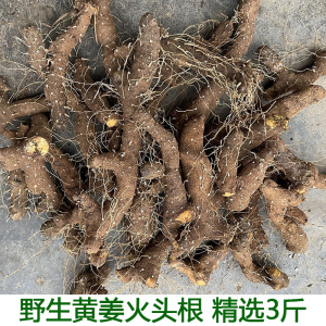 农村土特产野黄姜火藤根黄姜种盾叶薯蓣新鲜生火头根3斤装