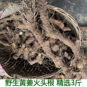 黄姜种盾叶薯蓣 新鲜生火头根农村土特产黄姜 火藤根 3斤装