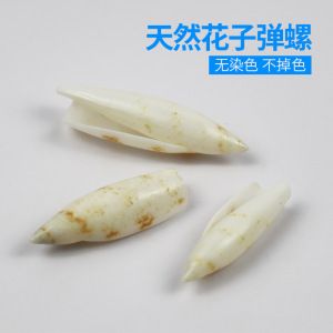 天然贝壳海螺子弹螺手工diy材料漂流瓶材料项链饰品花纹笋螺白色