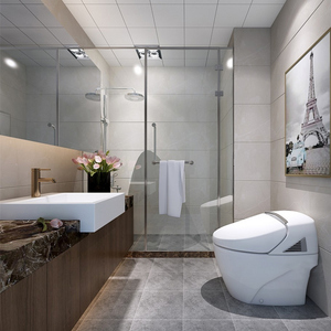 浴室厕所厨房瓷砖300x300卫生间防滑耐磨磁砖墙砖地砖30x30仿古砖