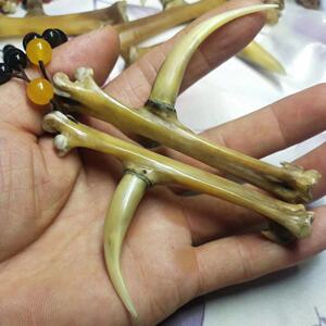 骨头文玩手把件