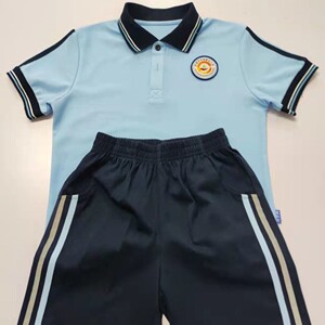 2022新款东莞市东城小学东城五小师范附属小学东城一小校服夏装套