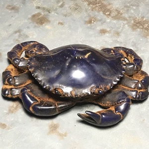 古玩捡漏乾隆年制明清古董玉高古玉做旧汉白玉老物件旧货螃蟹雕刻