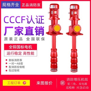 XBD立式长轴消防泵轴流深井泵干式液下消防水泵喷淋泵消火栓泵3CF