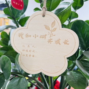 植树节认养木质标签牌幼儿园学校植树许愿木牌树木吊牌植物名字卡