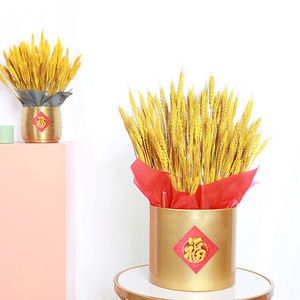 园艺金福盆金色花盆鎏金花桶大麦盆银柳蝴蝶兰海棠年宵花简约轻