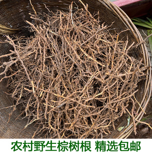 新鲜棕树根 棕榈树根 现挖棕榈根 野生现挖棕榈根须 马尾棕根生发