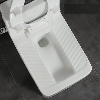 蹲坑二合一卫生间两用蹲s坐双用坐便器变蹲坐蹲一体式智能双用