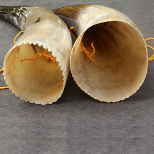 新品牛角号品喇叭饰响乐器工艺角舞台道g具旅游吹号挂吹30-45cm