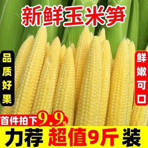 甜玉米笋新鲜9斤现摘迷你小玉米芯仔蔬菜嫩玉米棒水果玉米须包邮5