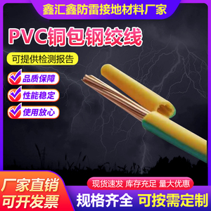 PVC铜包钢绞线水平接地母线PVC多股镀铜钢绞线防雷接地引线定制