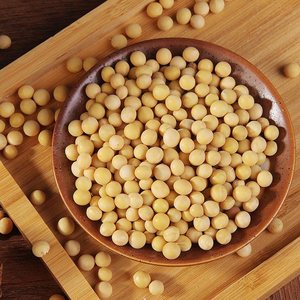 生黄豆10斤