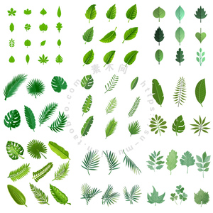 绿色植物叶子图标 各种树叶绿叶形状 AI格式矢量设计素材
