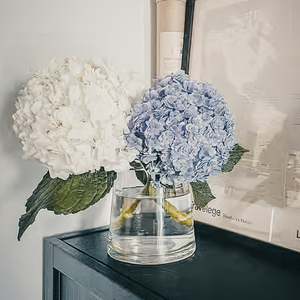 绣球花瓶玻璃透明客厅插花摆件鲜花插放绣球的花器探索日常美学