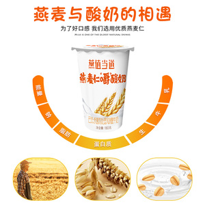 新疆天润浓缩酸奶燕麦谷粒酸奶杯装180g*12