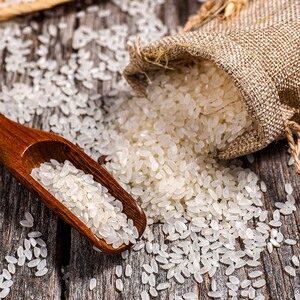 善田良品东北大米阿香贡米长粒香5kg/10斤小袋黑龙江绥化新米