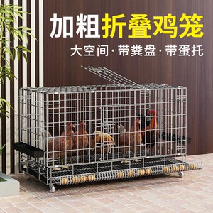 红胜贸易商行淘宝阳台无臭养鸡笼卢丁鸡笼斗鸡专用笼子周转箱运输