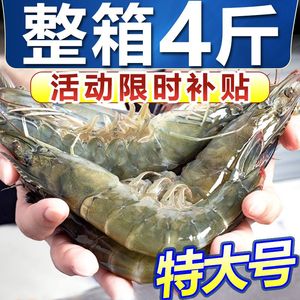 冰鲜部族新鲜黄海大虾虾子特大号整箱4斤冷冻批发16-18厘米基围虾