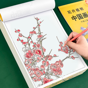 中国画白描临摹画册儿童入门初学国画工笔画底稿线稿描摹本涂色本