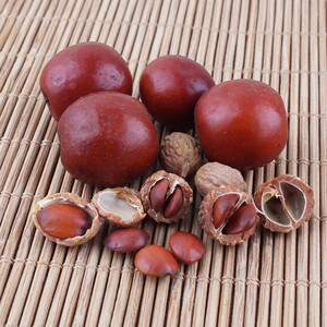 000人付款天猫新疆野生小酸枣孕妇沙枣酸枣粒500g山枣野酸枣助眠酸枣