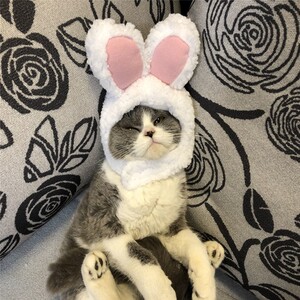 可爱猫咪头饰兔子耳朵帽宠物头套猫咪帽子兔耳帽子搞笑搞怪变身帽