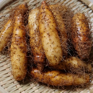 毛薯新鲜山药茂名特产火苕脚板田薯农家现挖广东甜薯5斤湛江包邮w