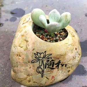 玉石容器肉盆栽石头多壁盆景华安雕刻九龙花瓶花盆狂欢牛百货14