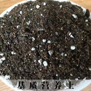 tb943994480淘宝新沙土蓬松花土盆栽营养土散装吊兰办公室普通土壤