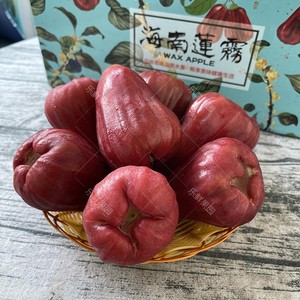 海南黑金刚莲雾3斤礼盒装清甜多汁新鲜热带水果特产顺丰