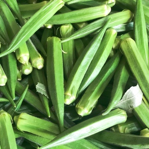 海南新鲜蔬菜 黄秋葵 当季现摘现发空运包邮1斤一5斤装