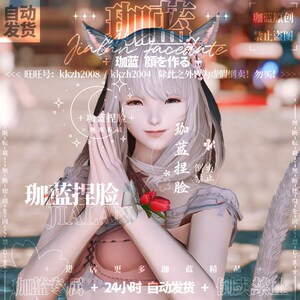 【4蓝】最终幻猫14 ff1珈y捏脸数据脸型猫魅猫女猫娘异瞳 月想新