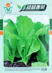盆栽春芥菜子四季青芥菜籽香蔬菜潮汕芥菜菜种青菜籽种孑小白菜甜