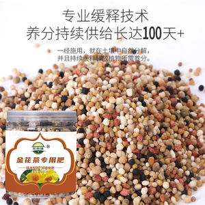 花玲珑 金花茶专用肥 蓝色山茶金毛狗蕨玛格丽特花肥有机肥开花生