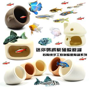 孔雀鱼小鱼躲避屋躲藏