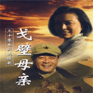 励志电视连续剧光盘 戈壁母亲dvd碟片刘佳 巫刚