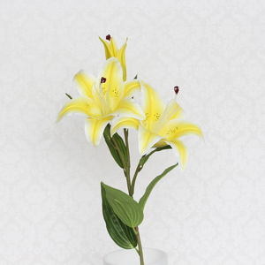 百合干花真花仿真