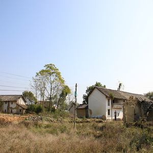 直播专用农村背景布室内3d立体墙户外乡村场景素材男女主播风景图