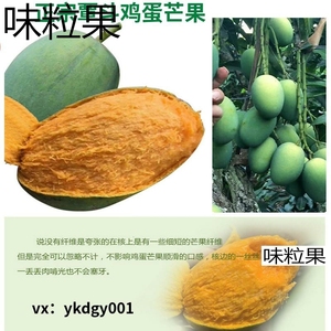 正宗覃斗鸡蛋芒果湛江雷州芒果椰香芒果10斤5斤装新鲜现摘现发